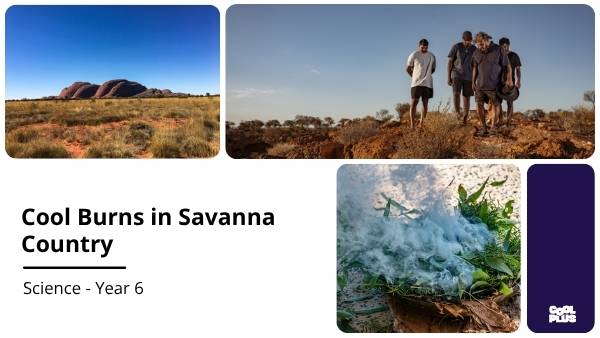Cool Burns in Savanna Country Education Presentation — slide 1
