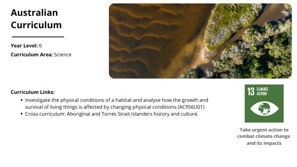 Cool Burns in Savanna Country Education Presentation — slide 2
