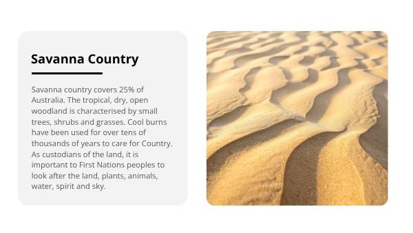 Cool Burns in Savanna Country Education Presentation — slide 3