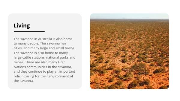 Cool Burns in Savanna Country Education Presentation — slide 4