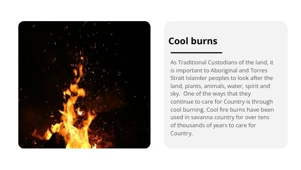 Cool Burns in Savanna Country Education Presentation — slide 5