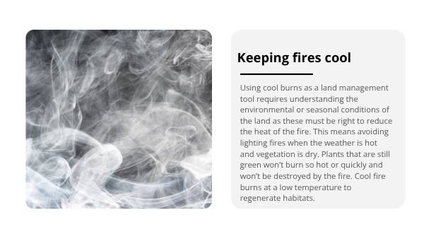 Cool Burns in Savanna Country Education Presentation — slide 6