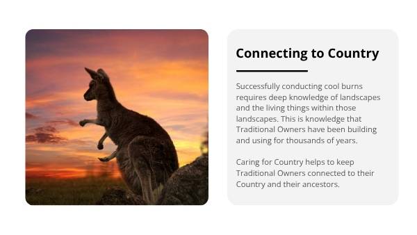 Cool Burns in Savanna Country Education Presentation — slide 10