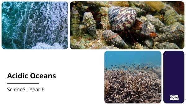 Acidic Oceans Education Presentation — slide 1