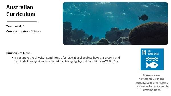Acidic Oceans Education Presentation — slide 2