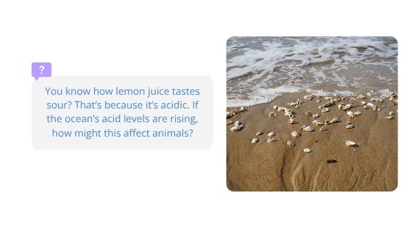 Acidic Oceans Education Presentation — slide 3