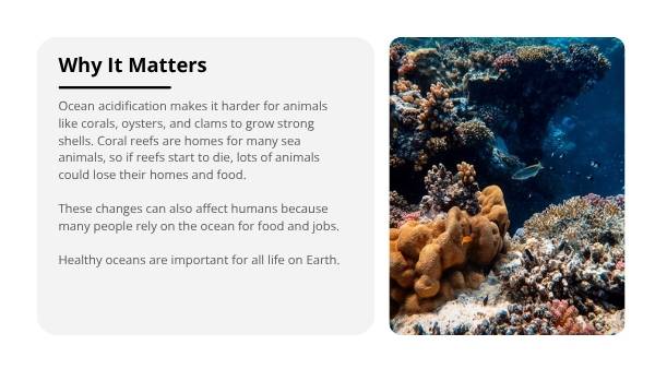 Acidic Oceans Education Presentation — slide 5