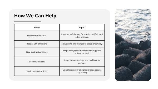 Acidic Oceans Education Presentation — slide 6