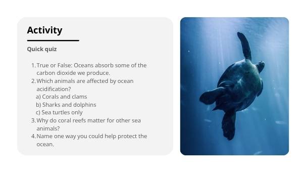 Acidic Oceans Education Presentation — slide 7
