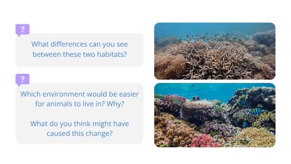 Climate Change Impacts Education Presentation — slide 3