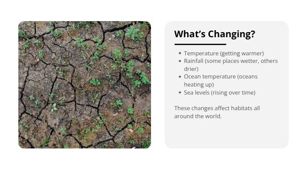 Climate Change Impacts Education Presentation — slide 5