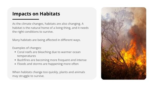 Climate Change Impacts Education Presentation — slide 6