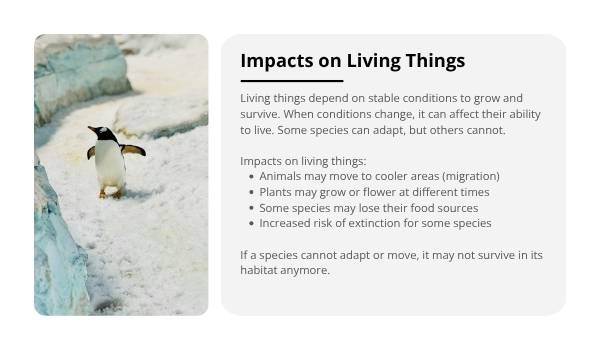 Climate Change Impacts Education Presentation — slide 7