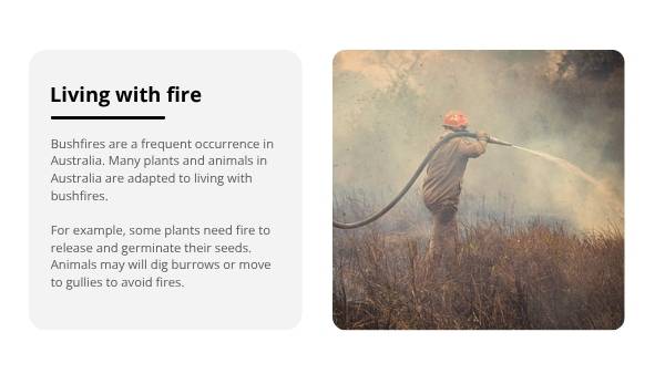 Understanding the Science of Fire Education Presentation — slide 4