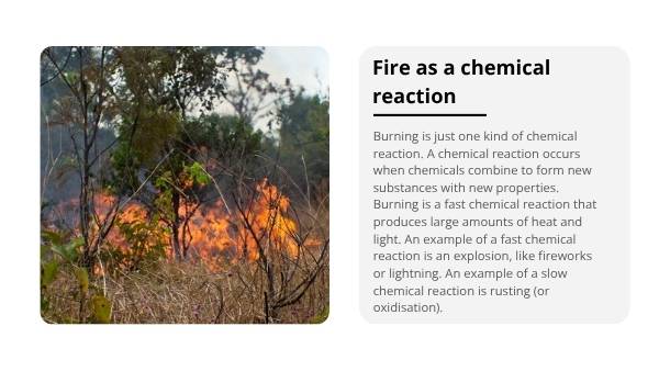 Understanding the Science of Fire Education Presentation — slide 6