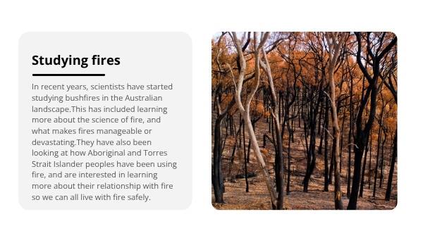 Understanding the Science of Fire Education Presentation — slide 7