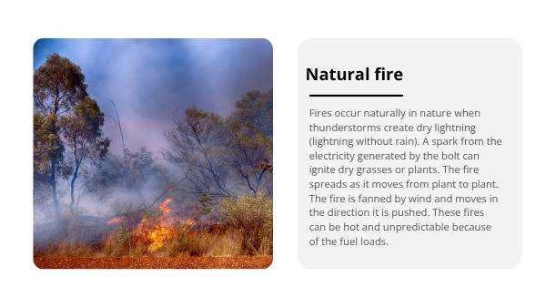 Understanding the Science of Fire Education Presentation — slide 9