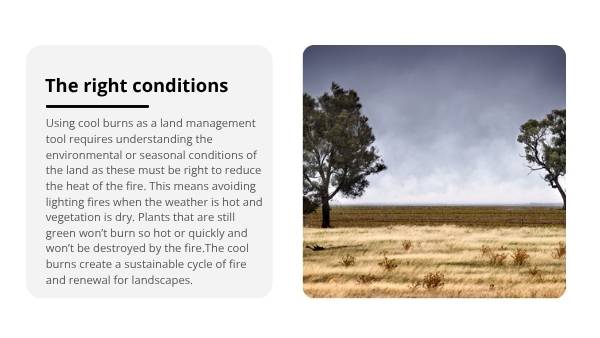 Understanding the Science of Fire Education Presentation — slide 11