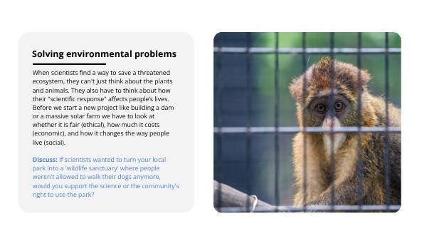 Deep Dive: Ecosystems in Threat Education Presentation — slide 3