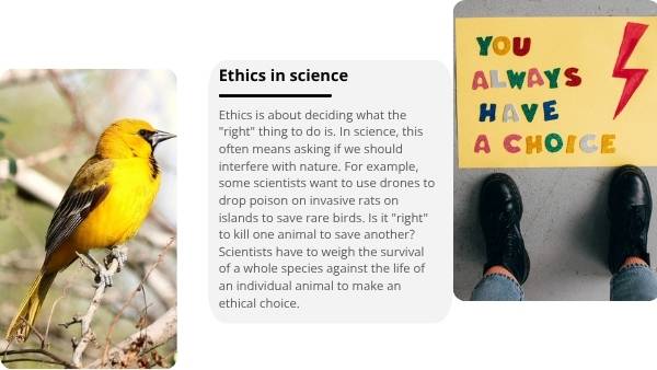 Deep Dive: Ecosystems in Threat Education Presentation — slide 5