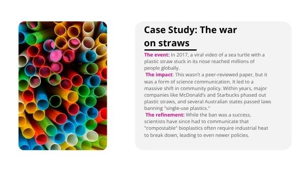 Waste in the World Education Presentation — slide 7