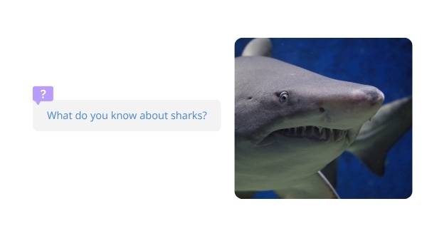 Deep Dive: Great White Sharks Education Presentation — slide 3