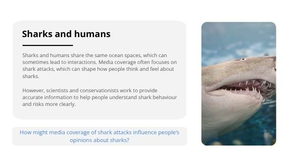 Deep Dive: Great White Sharks Education Presentation — slide 7