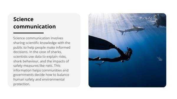 Deep Dive: Great White Sharks Education Presentation — slide 9