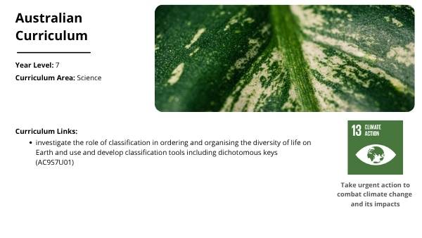 Tree Physiology and Important Functions Education Presentation — slide 2