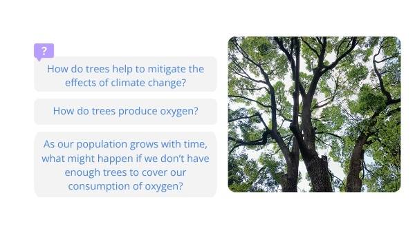 Tree Physiology and Important Functions Education Presentation — slide 3