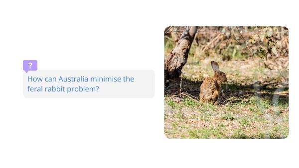 Invasive Species: Rabbits Education Presentation — slide 10
