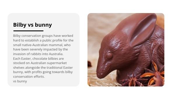 Invasive Species: Rabbits Education Presentation — slide 12