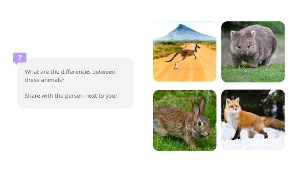 Impact of Invasive Species in Australia Education Presentation — slide 3