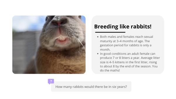Impact of Invasive Species in Australia Education Presentation — slide 4