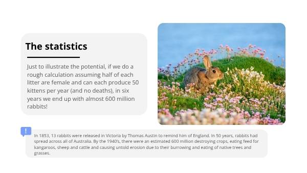 Impact of Invasive Species in Australia Education Presentation — slide 5