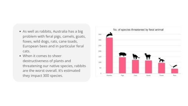 Impact of Invasive Species in Australia Education Presentation — slide 11