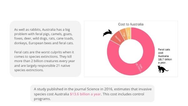 Impact of Invasive Species in Australia Education Presentation — slide 12
