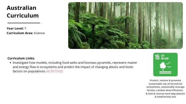 Wetland Food Webs Education Presentation — slide 2