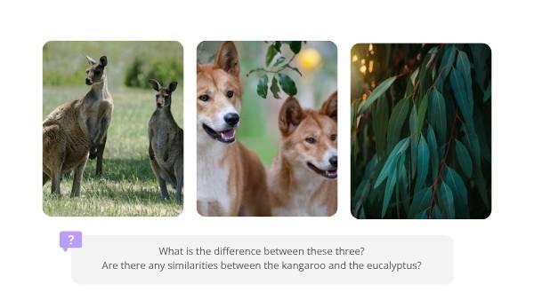 Wetland Food Webs Education Presentation — slide 3