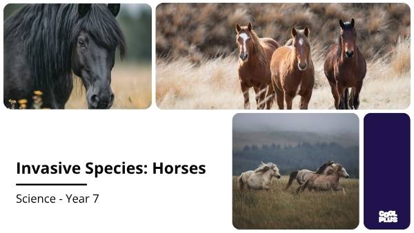Invasive Species: Horses Education Presentation — slide 1