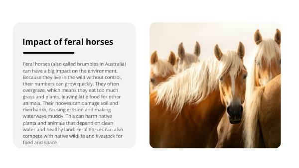 Invasive Species: Horses Education Presentation — slide 5