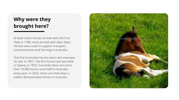 Invasive Species: Horses Education Presentation — slide 6
