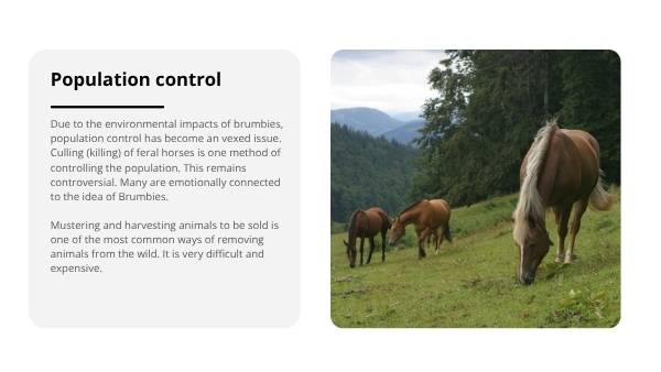Invasive Species: Horses Education Presentation — slide 9