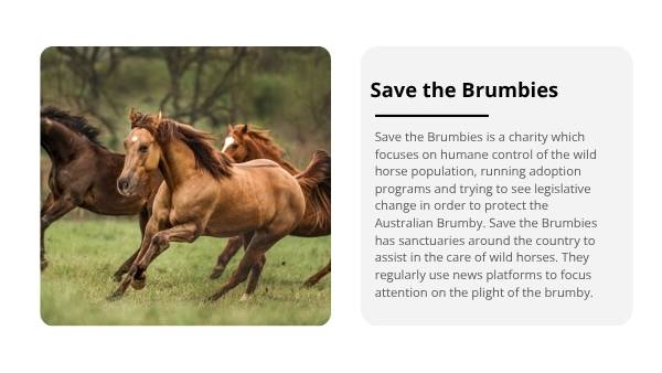 Invasive Species: Horses Education Presentation — slide 10