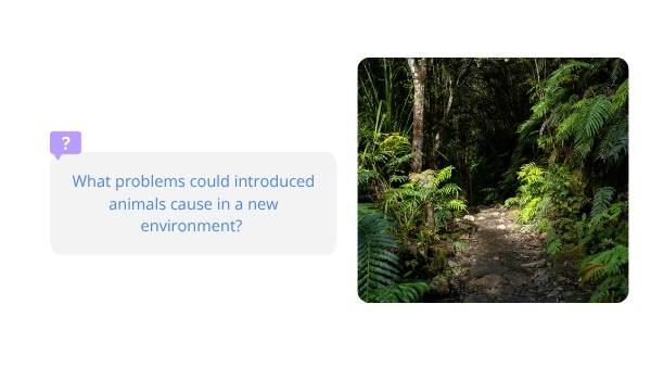 Invasive Species: Bees Education Presentation — slide 4