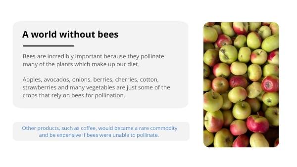 Invasive Species: Bees Education Presentation — slide 10
