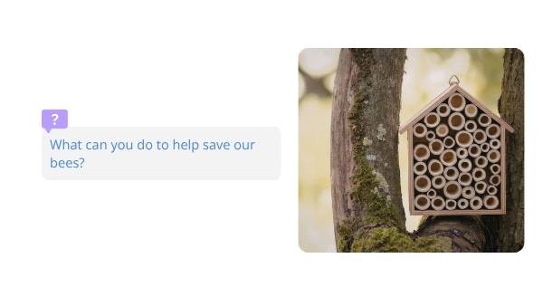 Invasive Species: Bees Education Presentation — slide 11