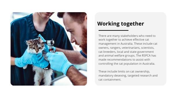 Invasive Species: Cats Education Presentation — slide 7