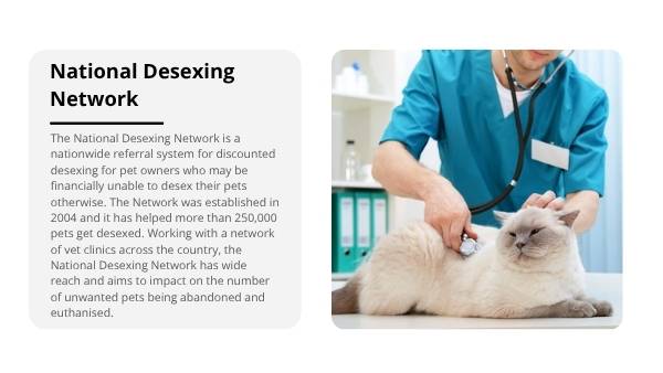 Invasive Species: Cats Education Presentation — slide 8