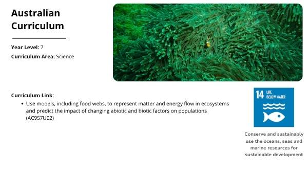 The Marine Food Web Education Presentation — slide 2